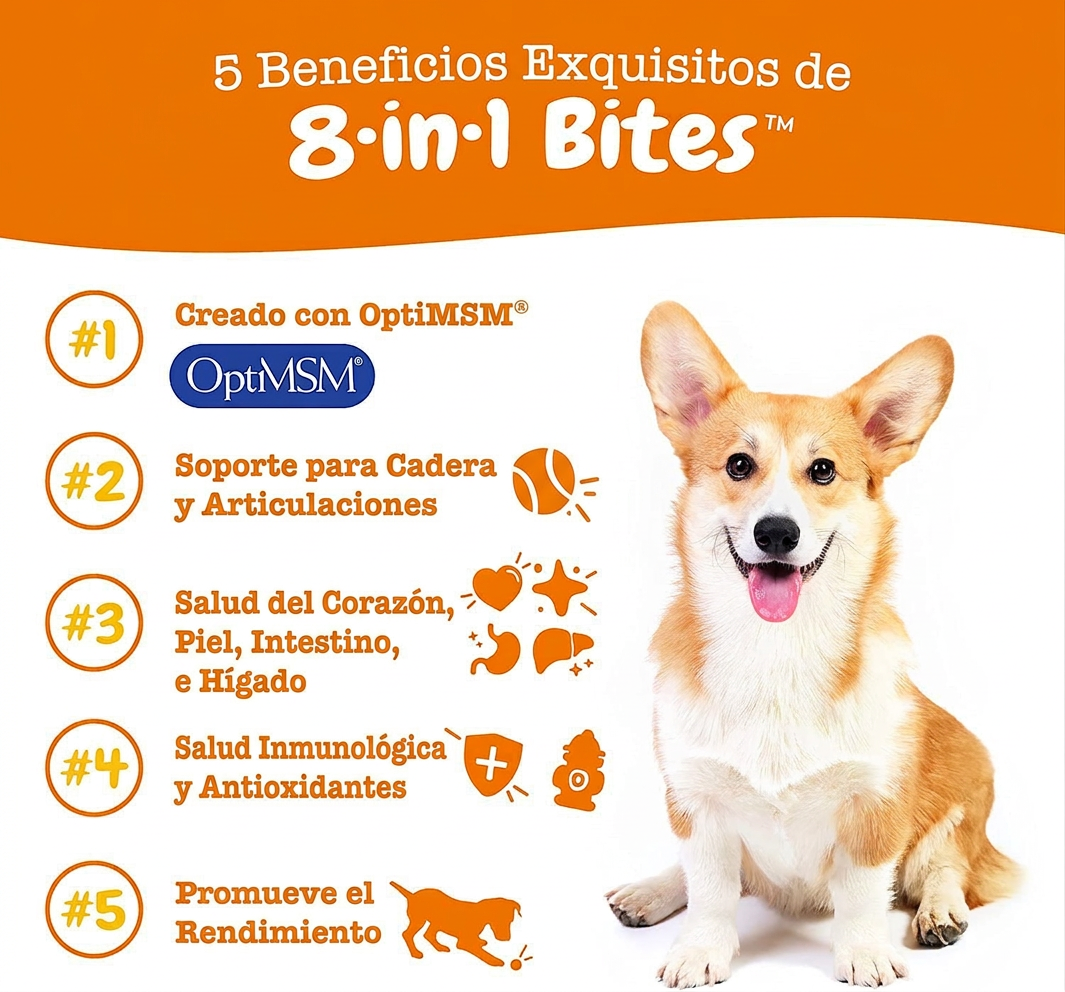 Multivitaminico para perro