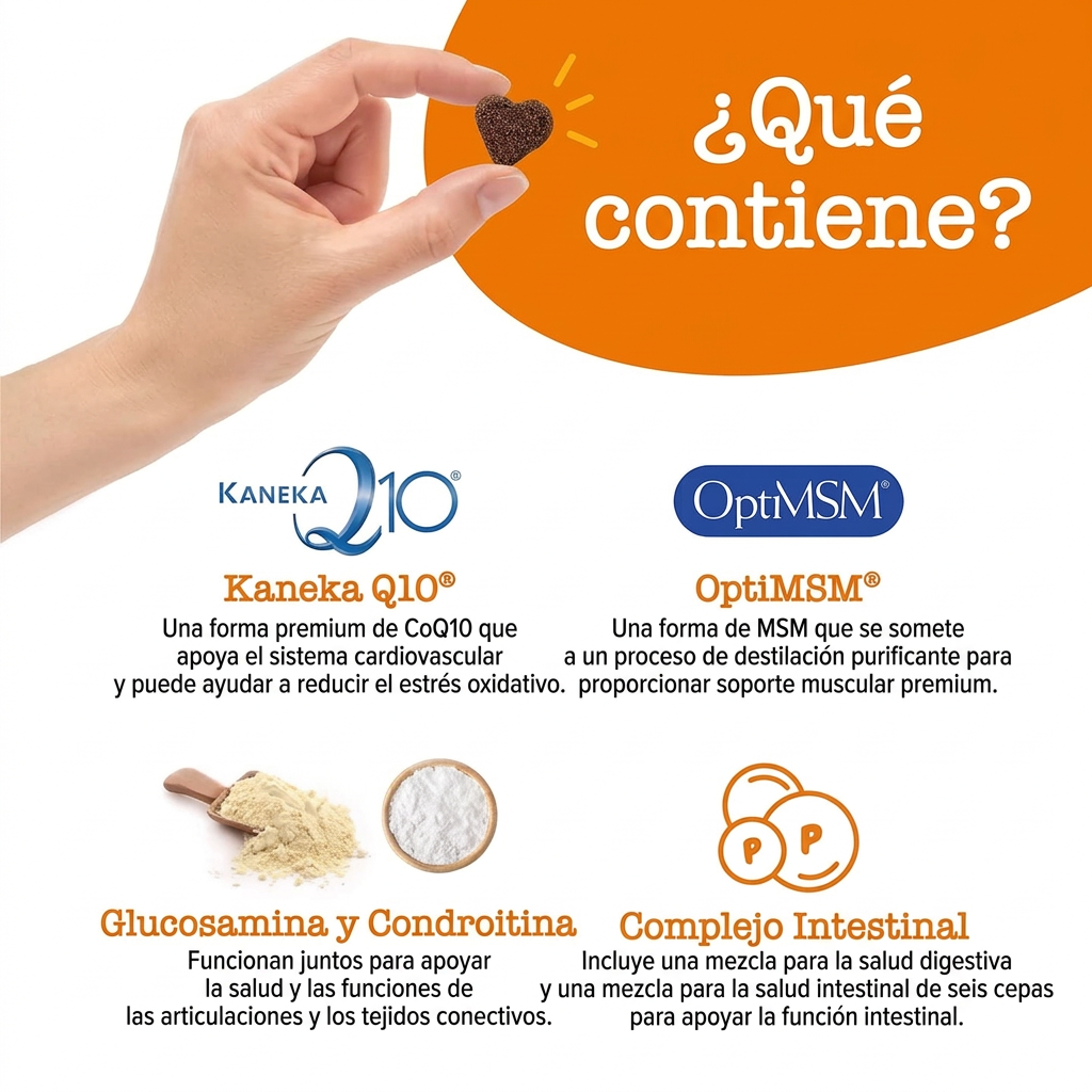 Multivitaminico para perro